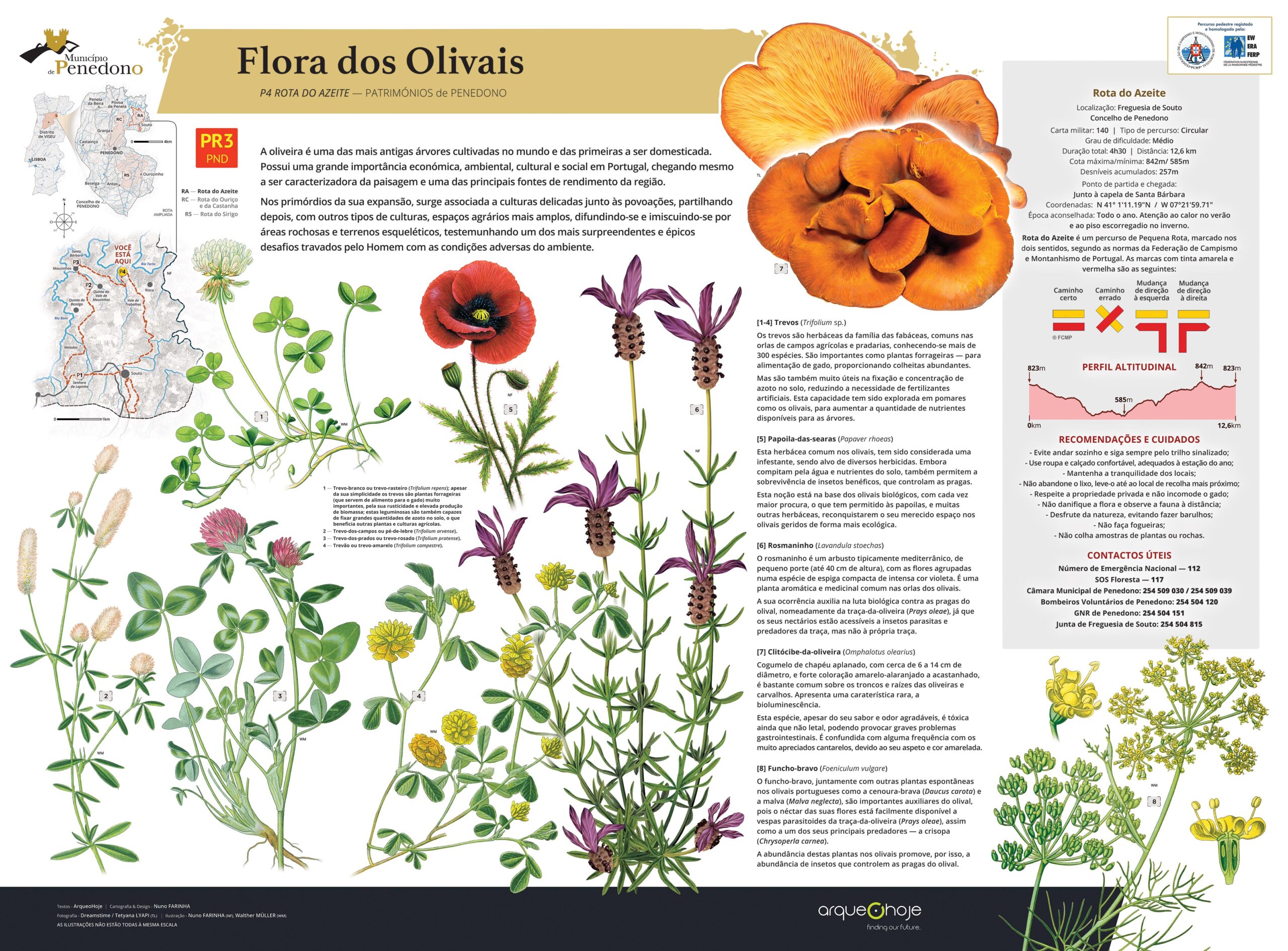 Azeite P4 Flora do Olival BR
